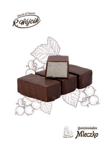 mleczko czarna porzeczka .png